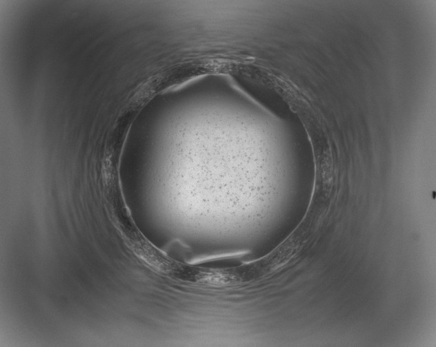 X0000082990611200702160025