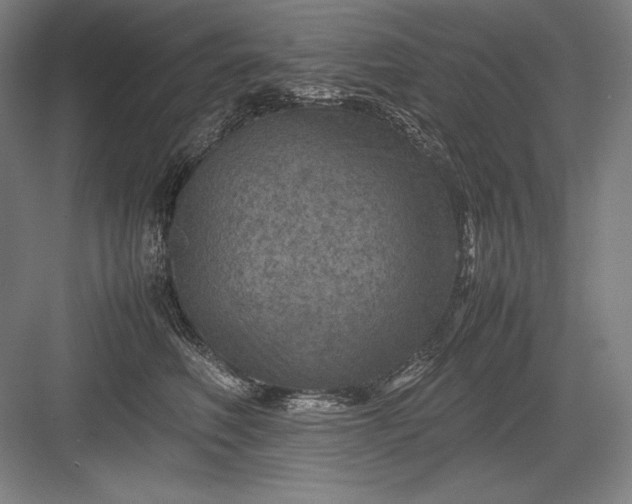 X0000082990614200702160025