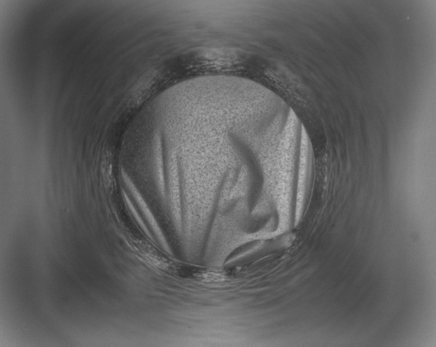 X0000082990615200702160025