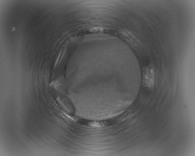 X0000082990616200702160025