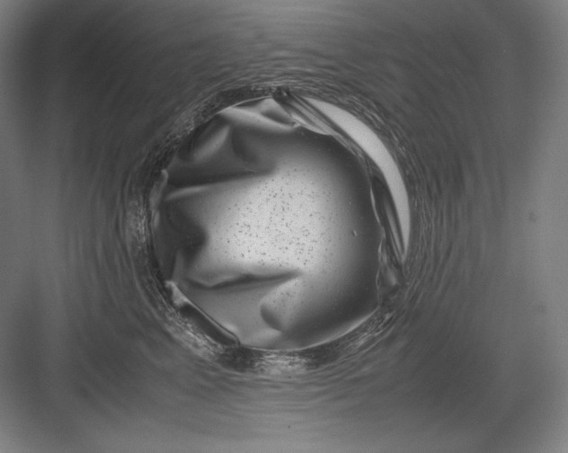 X0000082990617200702160025