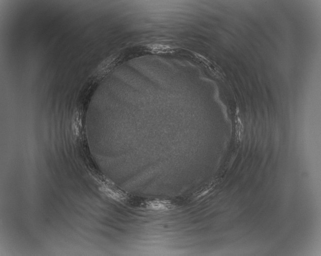 X0000082990618200702160025