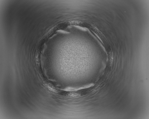 X0000082990619200702160025