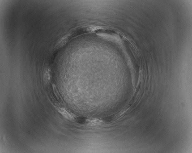 X0000082990621200702160025