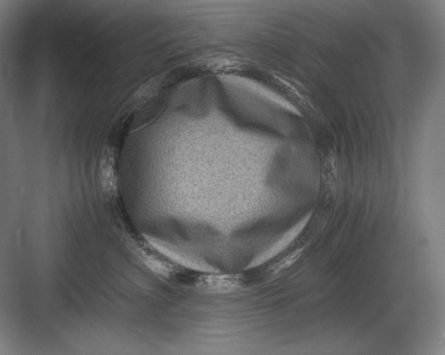 X0000082990622200702160025