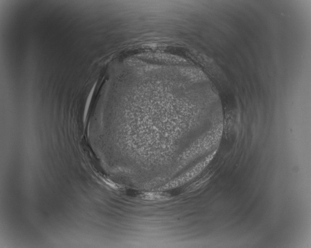 X0000082990623200702160025