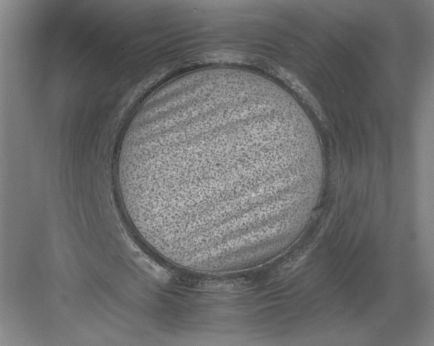 X0000082990625200702160024