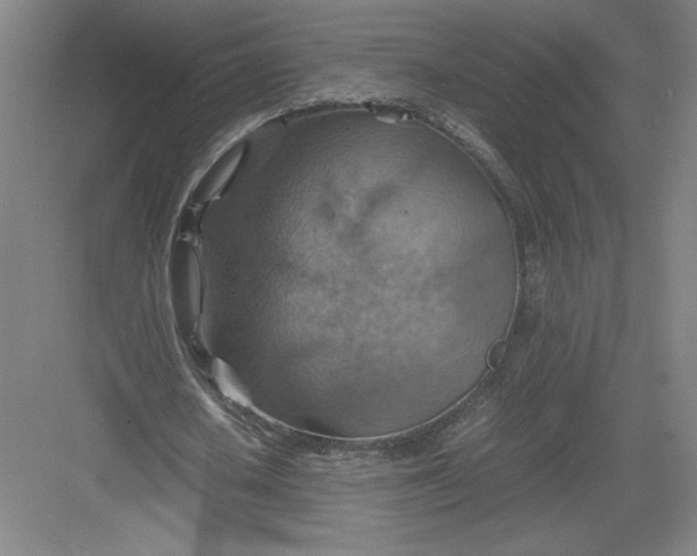 X0000082990626200702160024