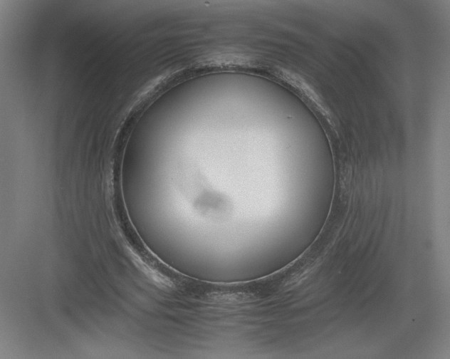 X0000082990629200702160024