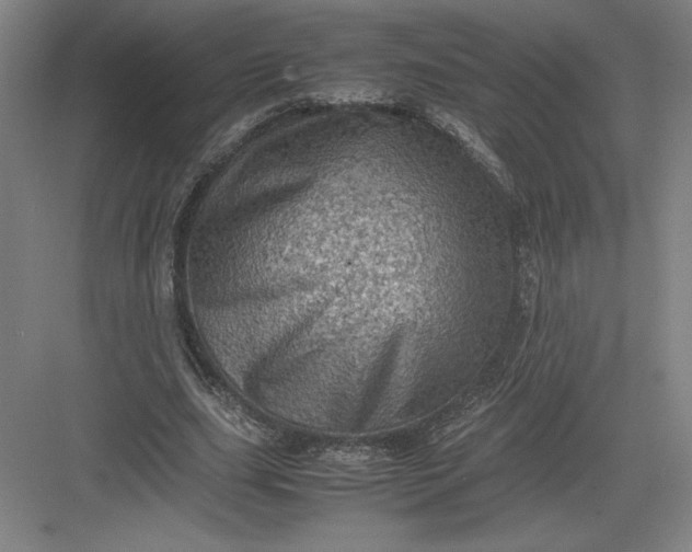 X0000082990631200702160024