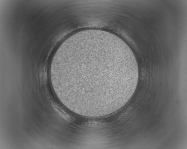 X0000082990632200702160024