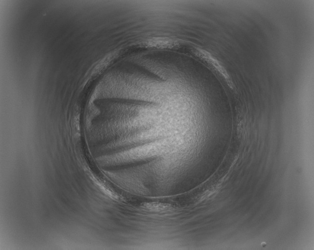 X0000082990633200702160024