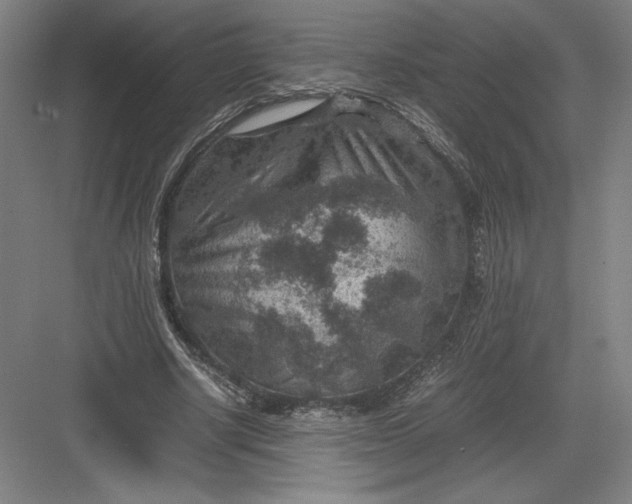 X0000082990634200702160024