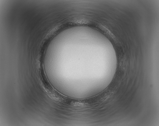 X0000082990635200702160024