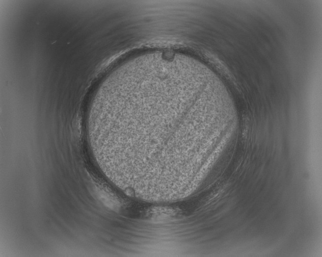 X0000082990636200702160024