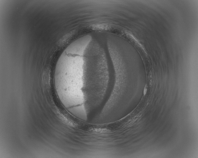 X0000082990637200702160024