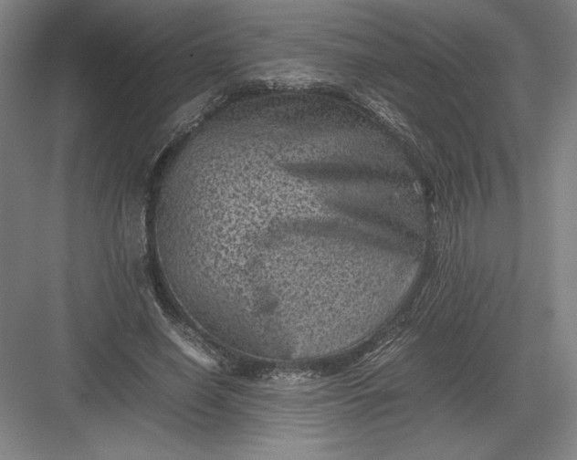 X0000082990638200702160024