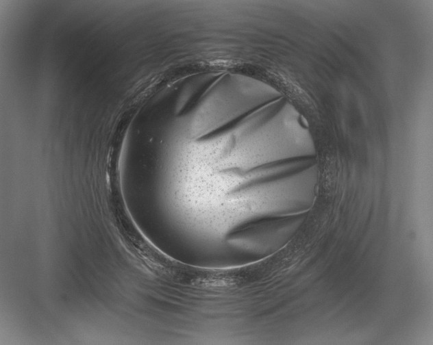 X0000082990639200702160024