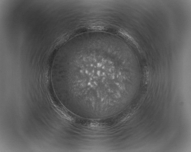 X0000082990641200702160024