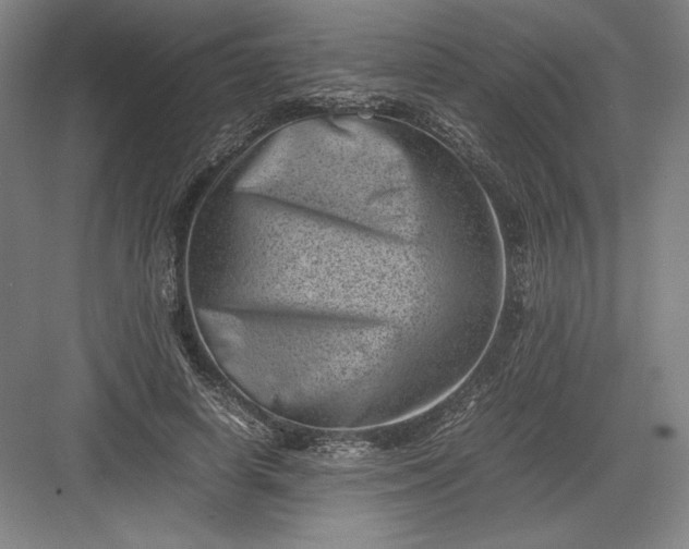 X0000082990642200702160024