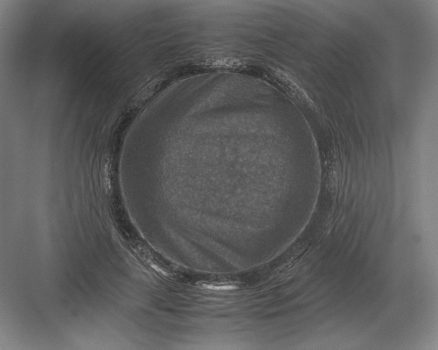 X0000082990643200702160024