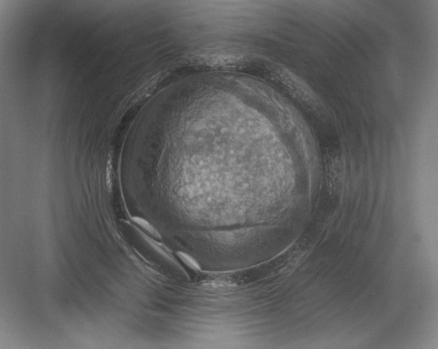 X0000082990644200702160024