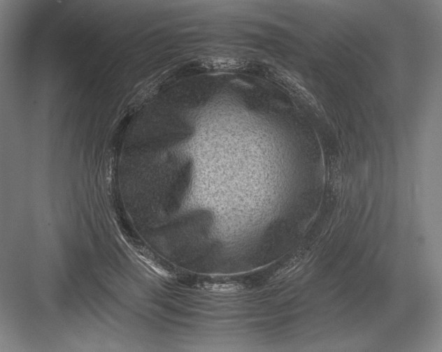 X0000082990645200702160025