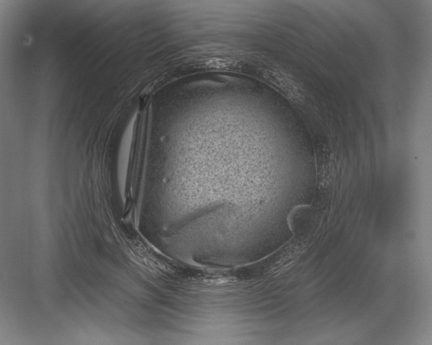 X0000082990646200702160025