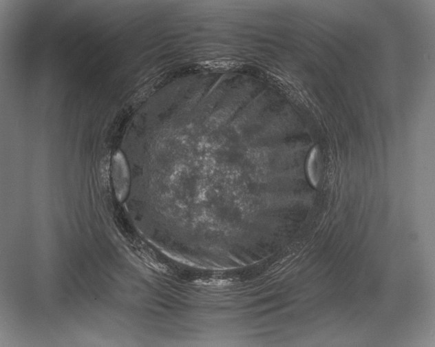 X0000082990647200702160025