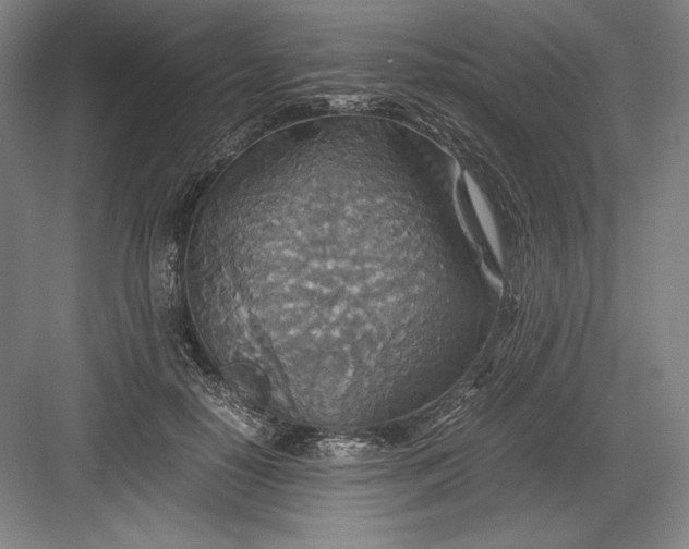 X0000082990650200702160025