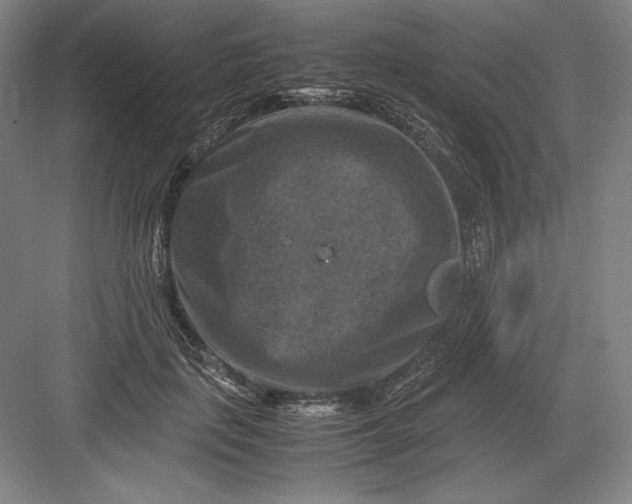 X0000082990651200702160025