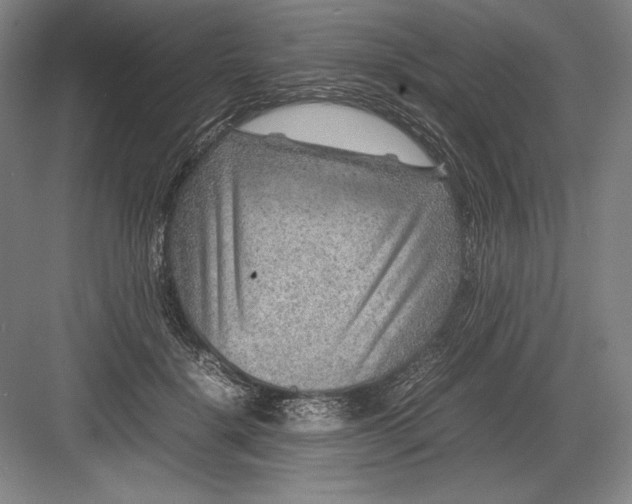 X0000082990652200702160025