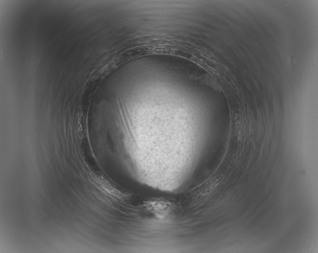 X0000082990654200702160025