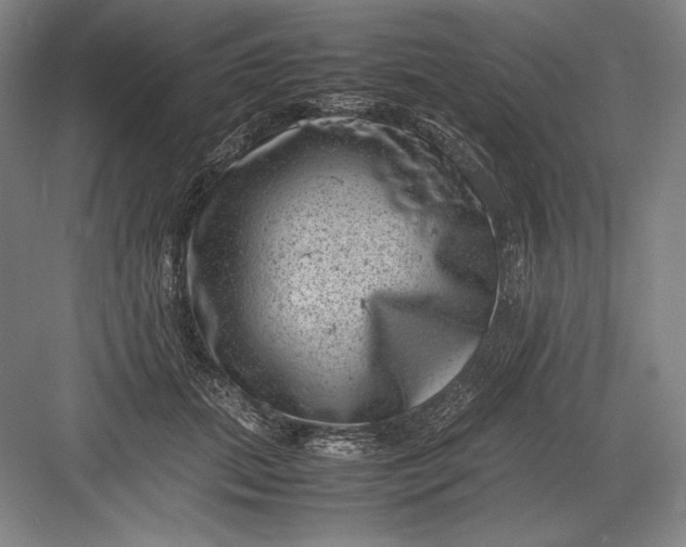 X0000082990655200702160025