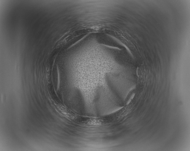 X0000082990656200702160025