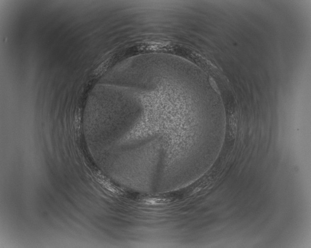 X0000082990657200702160025