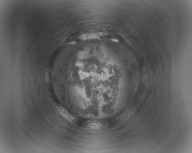 X0000082990658200702160025