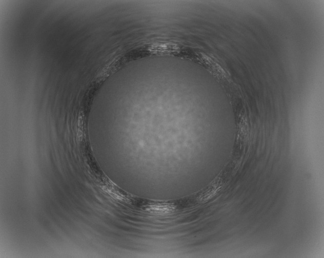 X0000082990659200702160025