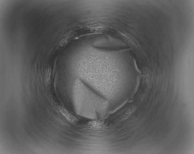 X0000082990660200702160025