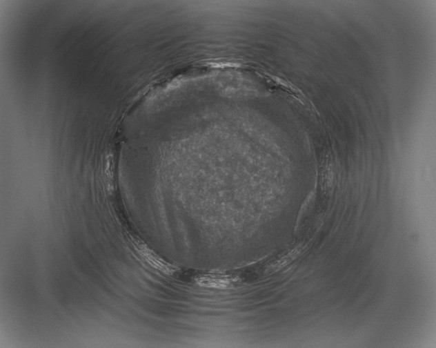 X0000082990661200702160025