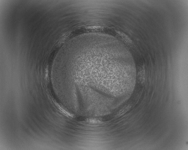 X0000082990662200702160025