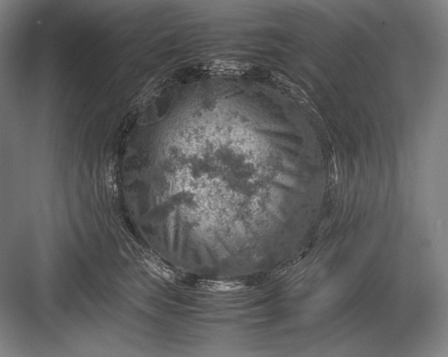 X0000082990663200702160025