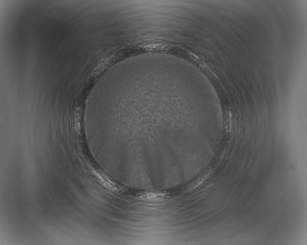 X0000082990664200702160025