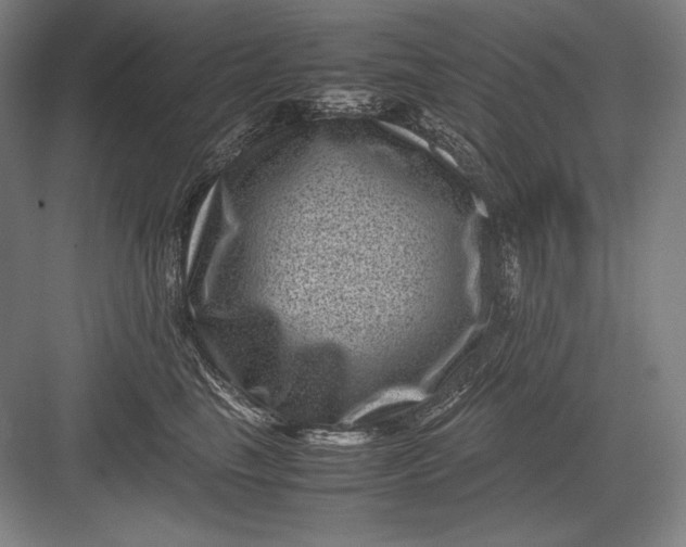 X0000082990665200702160025