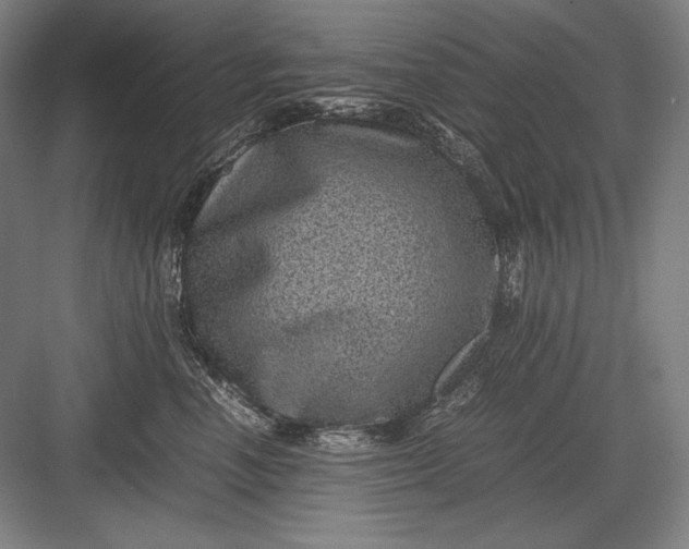 X0000082990666200702160025