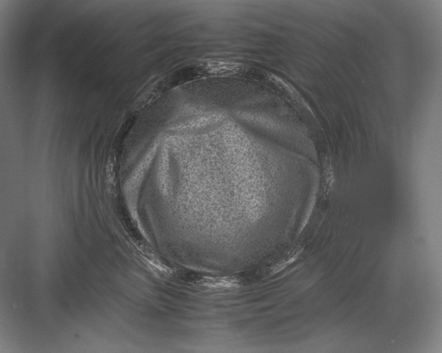 X0000082990667200702160025