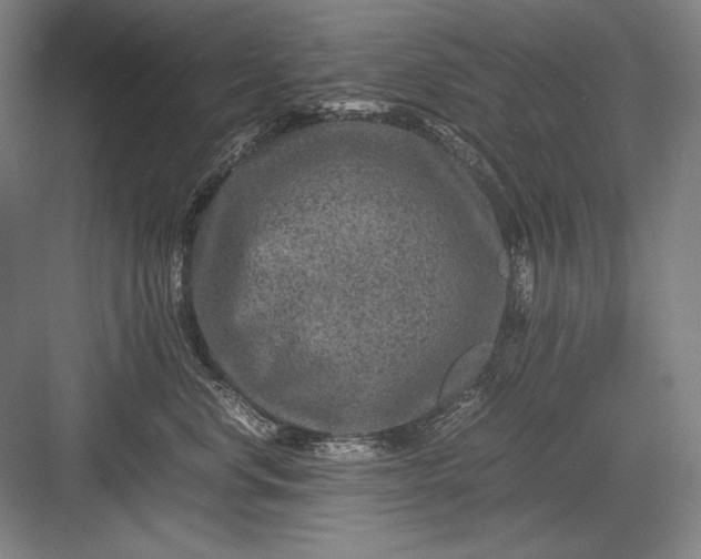 X0000082990668200702160025