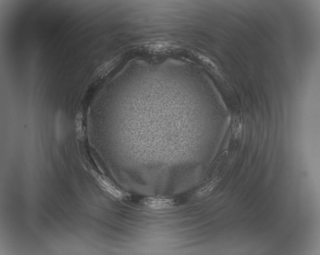 X0000082990670200702160025