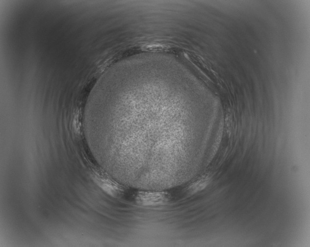 X0000082990671200702160025