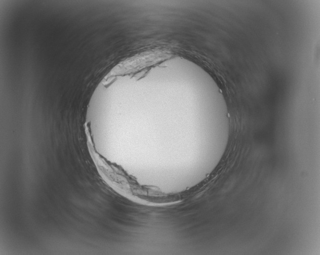 X0000082990672200702160025